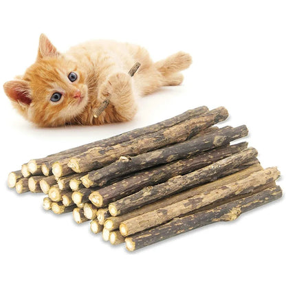 15pcs Natural Matatabi Cat Catnip Toy Kitten Molar Chew Stick Pet Cleaning Teeth Cat Treat Toy Actinidia Silvervine Pet Products