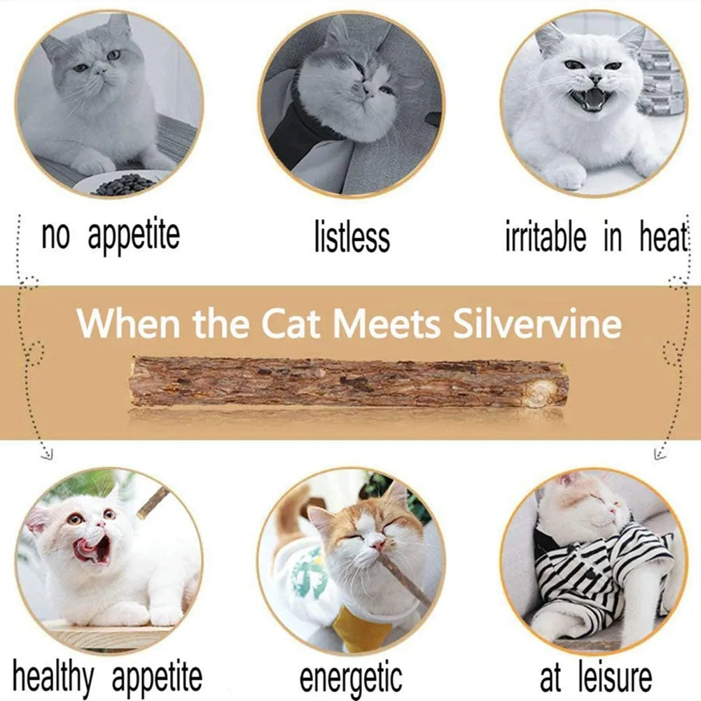 15pcs Natural Matatabi Cat Catnip Toy Kitten Molar Chew Stick Pet Cleaning Teeth Cat Treat Toy Actinidia Silvervine Pet Products