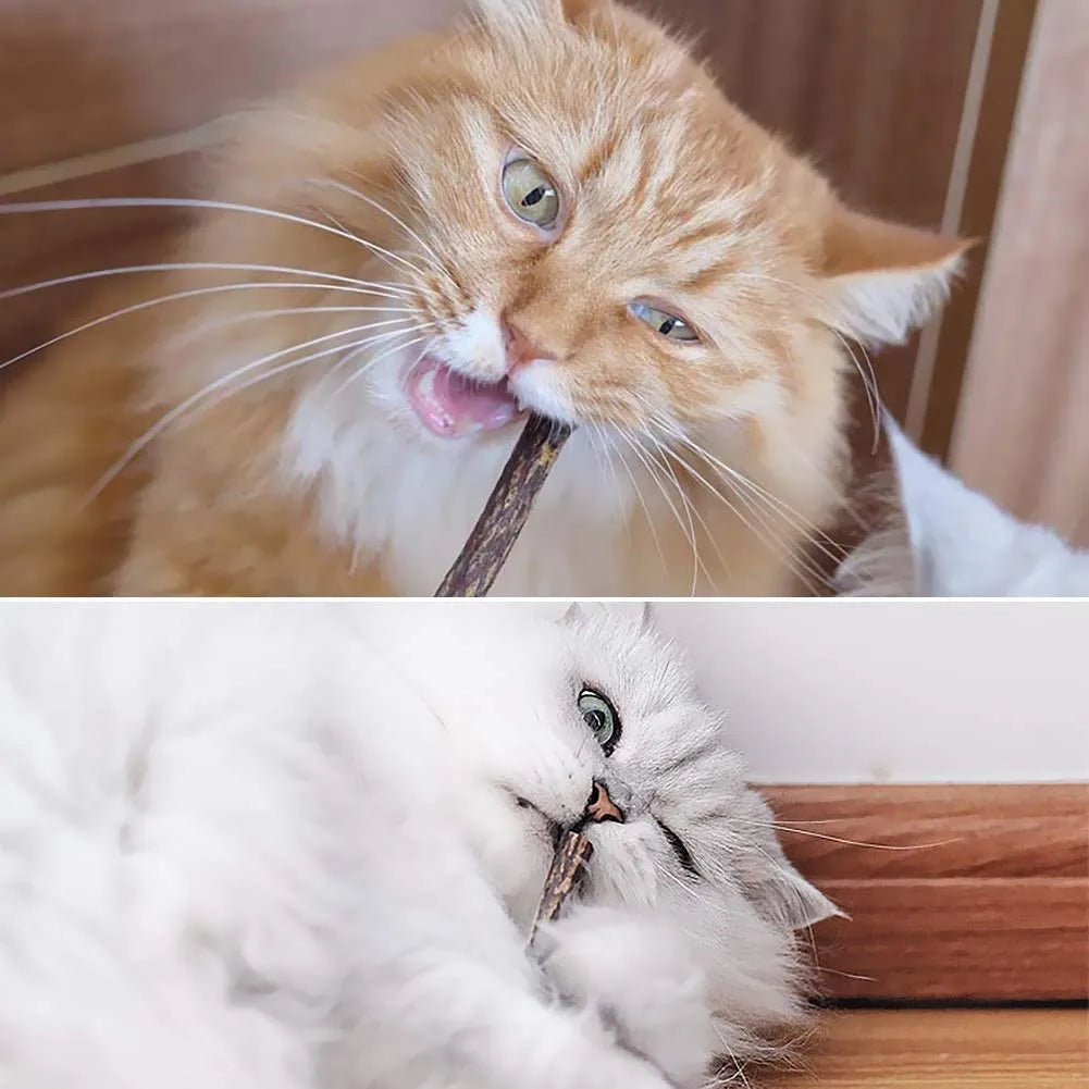 15pcs Natural Matatabi Cat Catnip Toy Kitten Molar Chew Stick Pet Cleaning Teeth Cat Treat Toy Actinidia Silvervine Pet Products